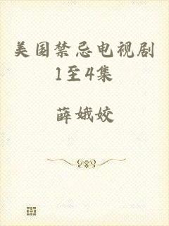 美国禁忌电视剧1至4集