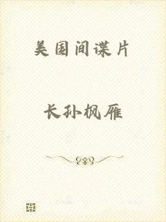 美国间谍片