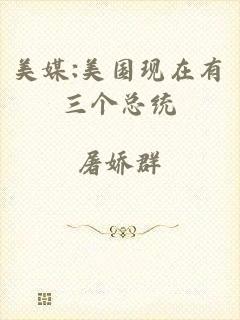 美媒:美国现在有三个总统