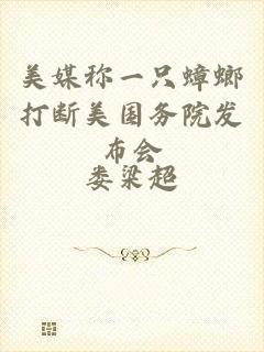 美媒称一只蟑螂打断美国务院发布会