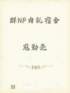 群NP肉乱宿舍