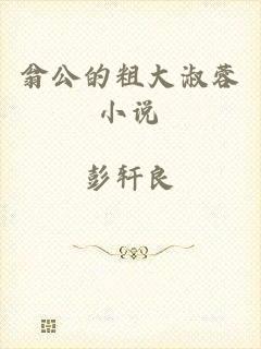 翁公的粗大淑蓉小说