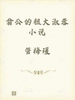 翁公的粗大淑蓉小说