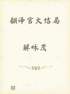 翻译官大结局