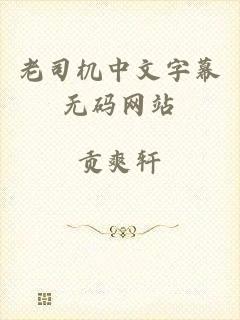 老司机中文字幕无码网站