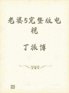 老婆5完整版电视