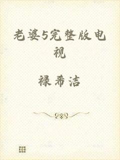老婆5完整版电视