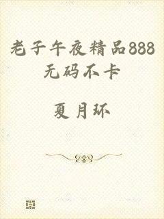 老子午夜精品888无码不卡