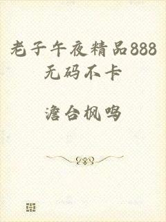 老子午夜精品888无码不卡