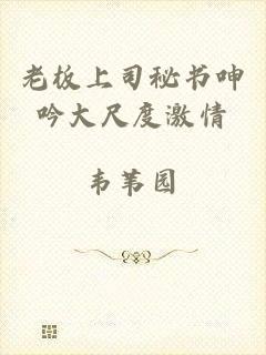 老板上司秘书呻吟大尺度激情