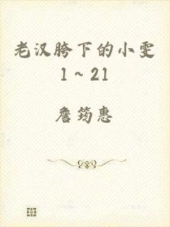 老汉胯下的小雯1～21