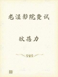 老湿影院费试