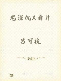 老湿机X看片