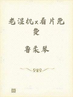 老湿机x看片免费