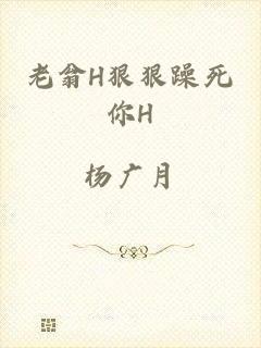 老翁H狠狠躁死你H