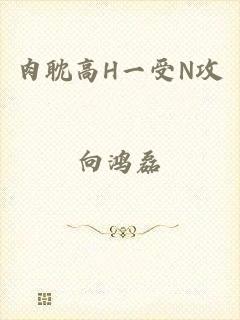 肉耽高H一受N攻