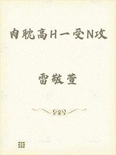 肉耽高H一受N攻