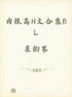 肉辣高H文合集BL