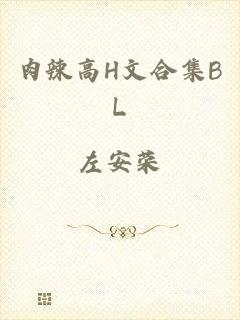 肉辣高H文合集BL