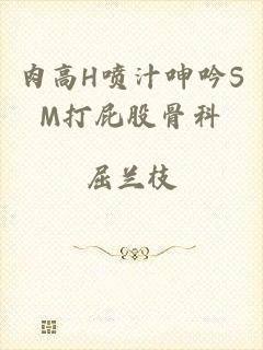 肉高H喷汁呻吟SM打屁股骨科