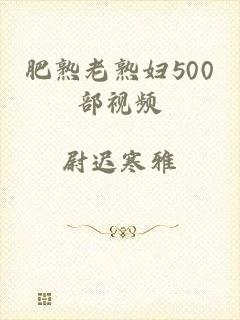 肥熟老熟妇500部视频