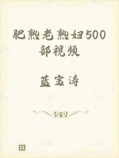 肥熟老熟妇500部视频