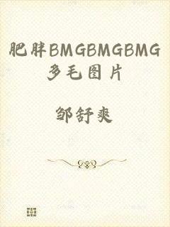 肥胖BMGBMGBMG多毛图片