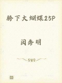 胯下大蝴蝶25P