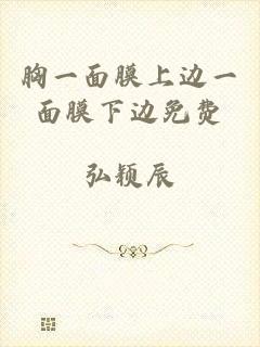 胸一面膜上边一面膜下边免费