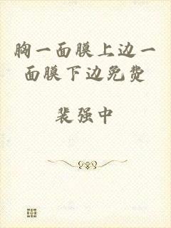 胸一面膜上边一面膜下边免费