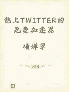 能上TWITTER的免费加速器