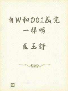 自W和DOI感觉一样吗