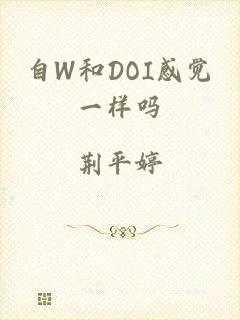 自W和DOI感觉一样吗