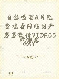 自慰喷潮A片免费观看网站国产男男激情VIDEOSGAY