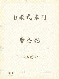 自杀式车门