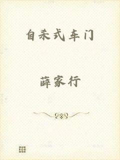 自杀式车门
