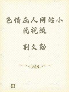 色情成人网站小说视频