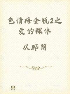 色情梅金瓶2之爱的裸体