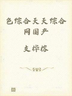 色综合天天综合网国产