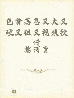 色翁荡息又大又硬又粗又视频软件