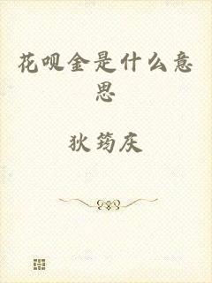 花呗金是什么意思