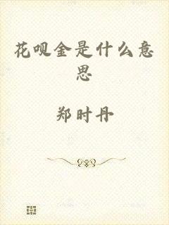 花呗金是什么意思