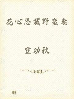 花心总裁野蛮妻