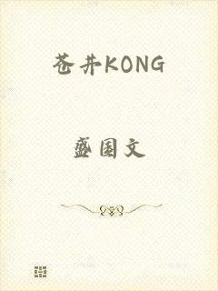 苍井KONG