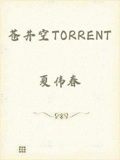 苍井空TORRENT