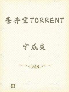 苍井空TORRENT