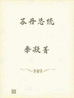 苏丹总统