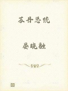 苏丹总统