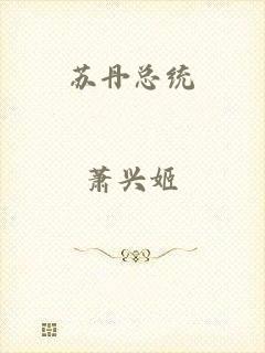苏丹总统