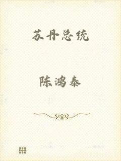 苏丹总统